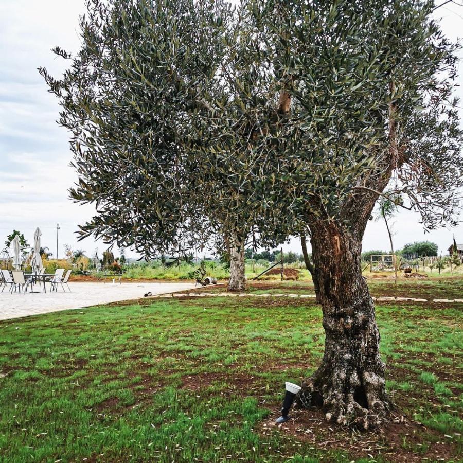 Hotel Il Sentiero di Leano Terracina Esterno foto